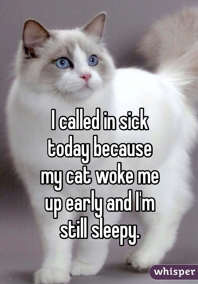 I called in sick
today because
my cat woke me
up early and I'm
still sleepy.