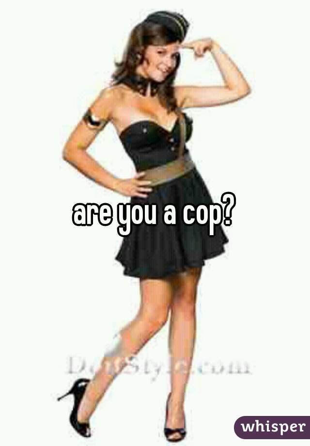 are you a cop?

