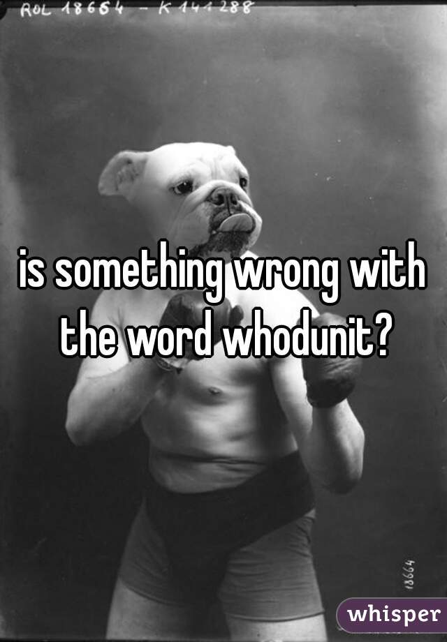 is something wrong with the word whodunit?