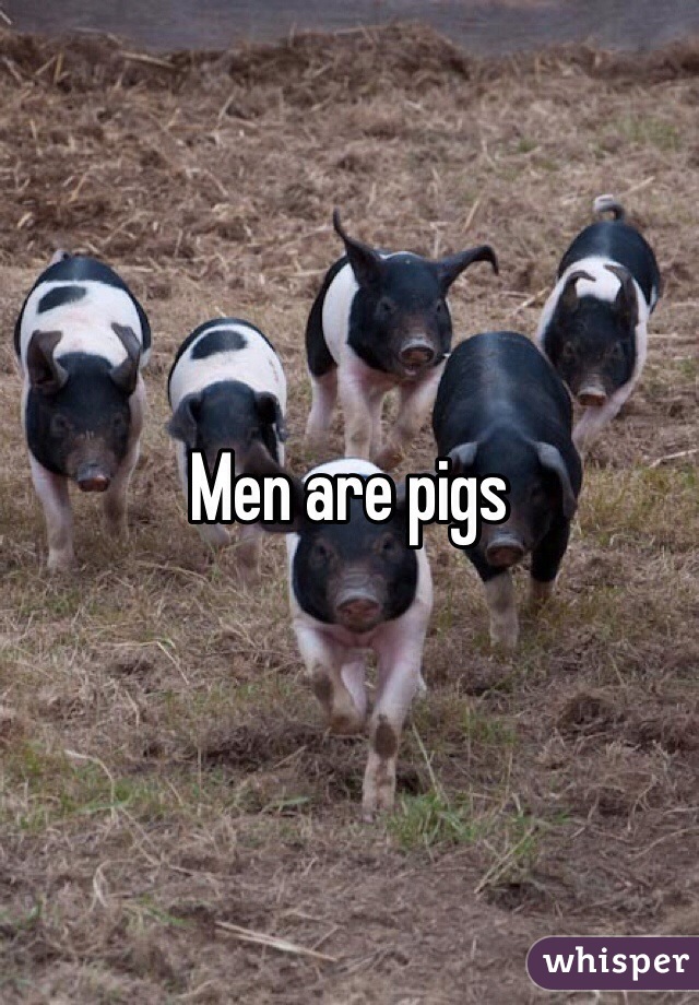 Men are pigs