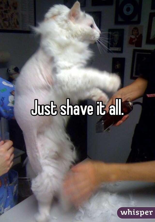 Just shave it all. 