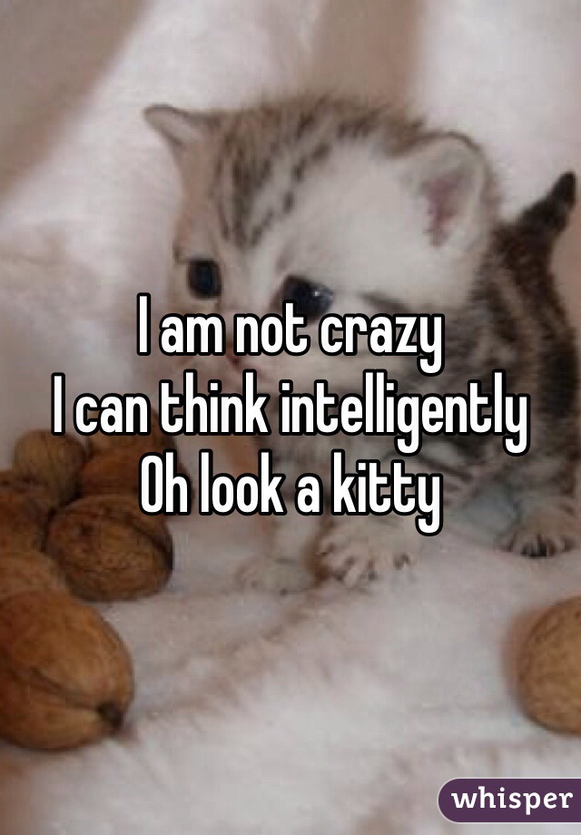 I am not crazy
I can think intelligently 
Oh look a kitty