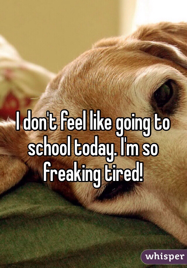 I don't feel like going to school today. I'm so freaking tired! 