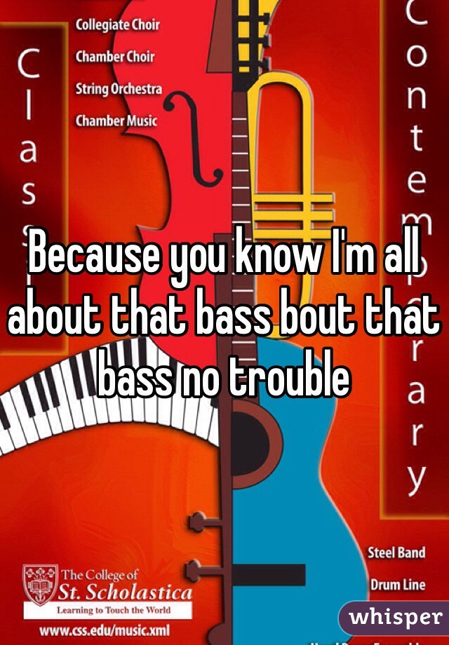 Because you know I'm all about that bass bout that bass no trouble 