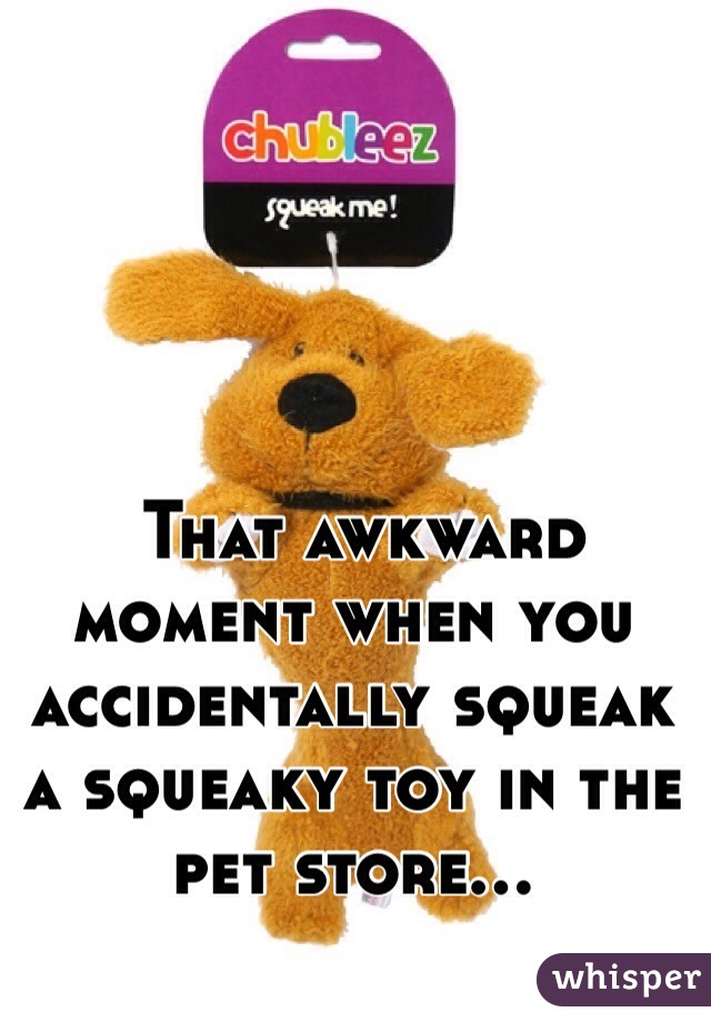  That awkward moment when you accidentally squeak a squeaky toy in the pet store...
