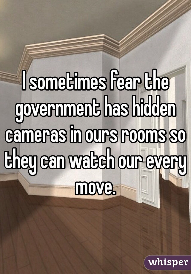 I sometimes fear the government has hidden cameras in ours rooms so they can watch our every move. 