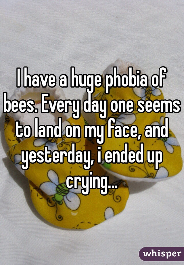 I have a huge phobia of bees. Every day one seems to land on my face, and yesterday, i ended up crying...