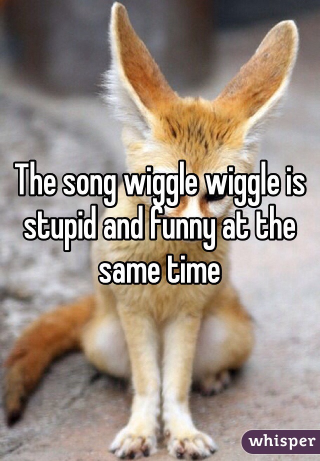 The song wiggle wiggle is stupid and funny at the same time