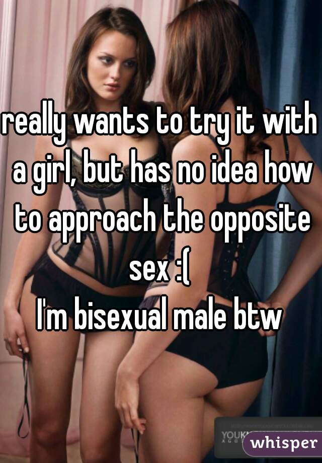 really wants to try it with a girl, but has no idea how to approach the opposite sex :( 

I'm bisexual male btw