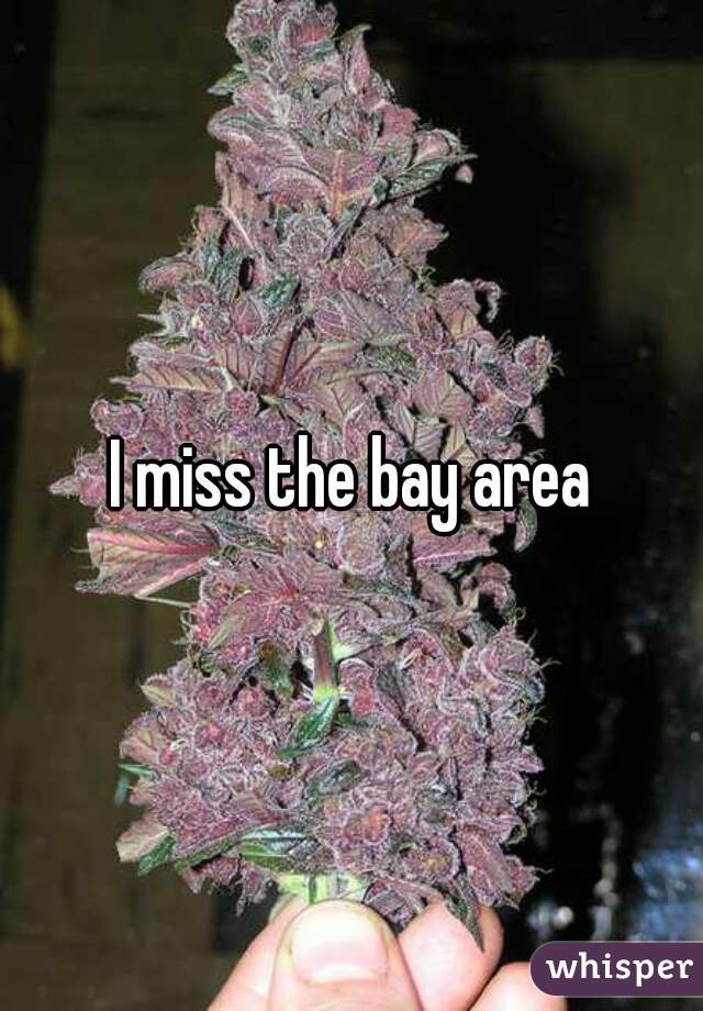 I miss the bay area