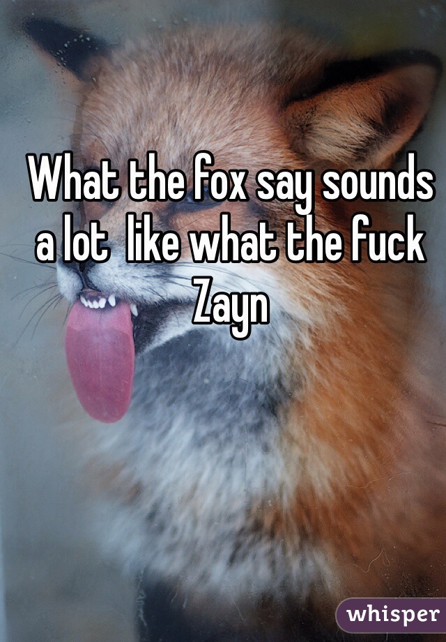 What the fox say sounds a lot  like what the fuck Zayn