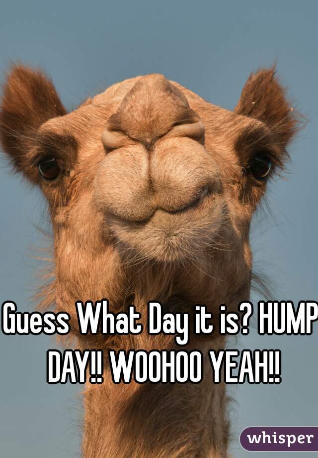 Guess What Day it is? HUMP DAY!! WOOHOO YEAH!!