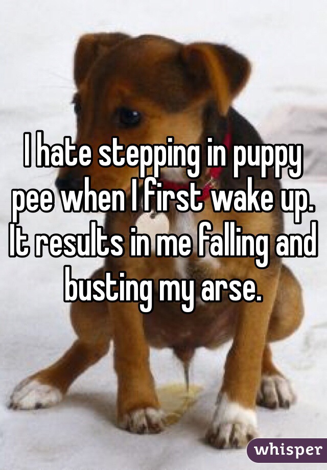 I hate stepping in puppy pee when I first wake up. It results in me falling and busting my arse.  