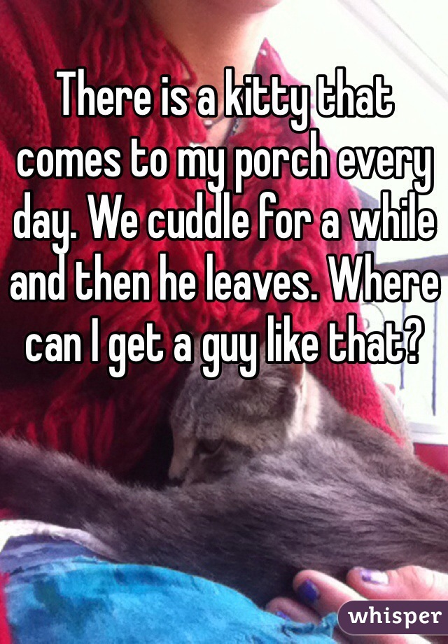 There is a kitty that comes to my porch every day. We cuddle for a while and then he leaves. Where can I get a guy like that?