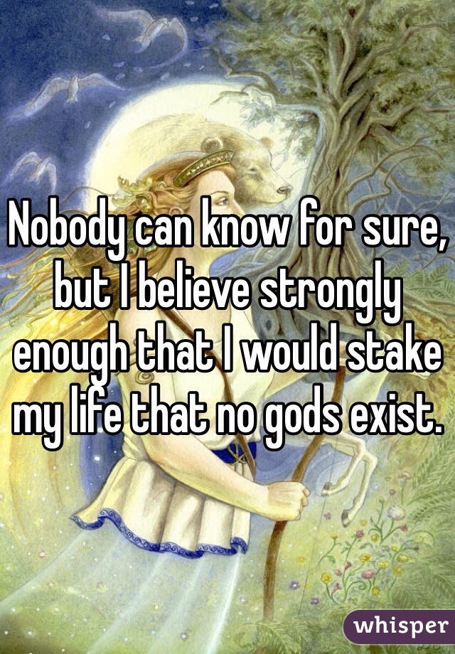 Nobody can know for sure, but I believe strongly enough that I would stake my life that no gods exist. 