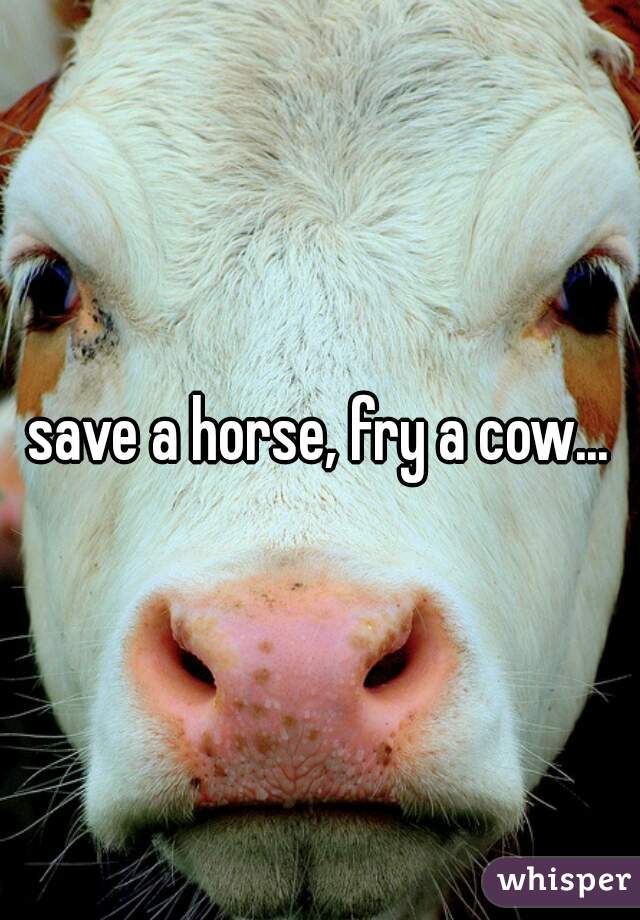 save a horse, fry a cow...