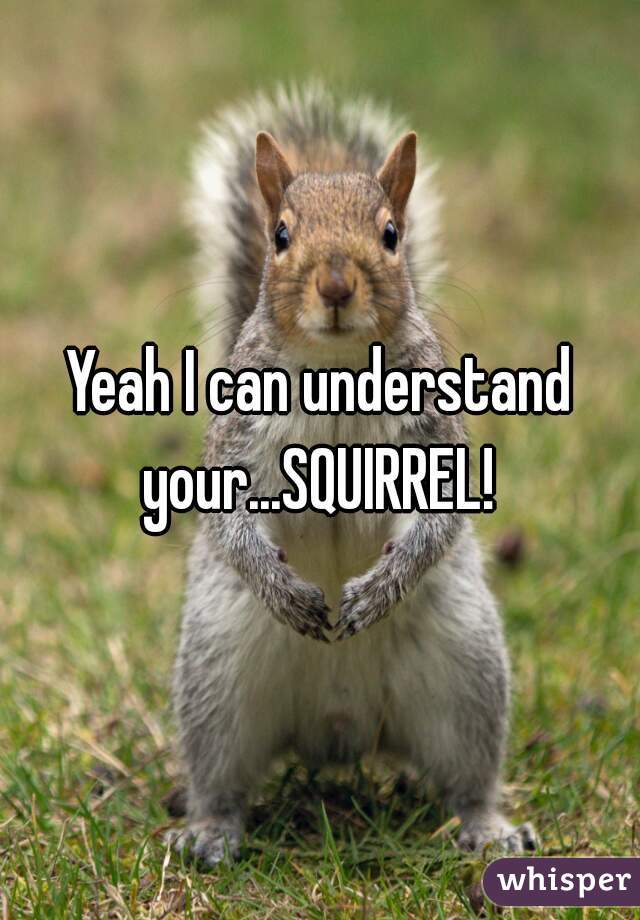 Yeah I can understand your...SQUIRREL! 