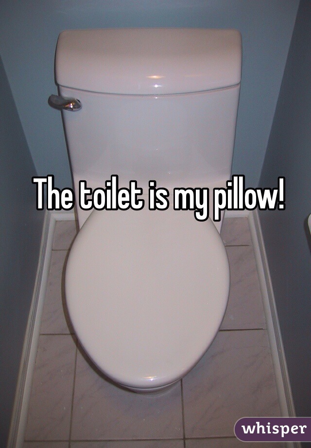 The toilet is my pillow!