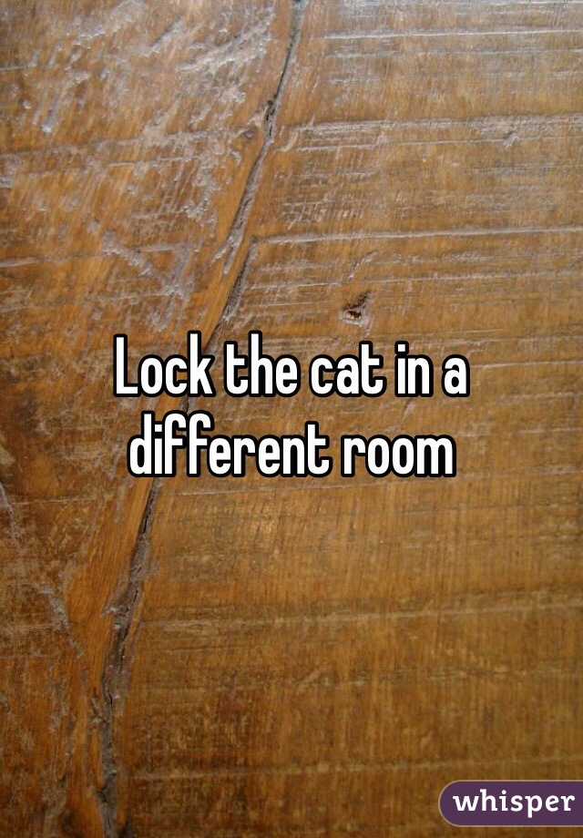 Lock the cat in a different room