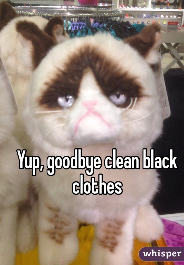 Yup, goodbye clean black clothes 
