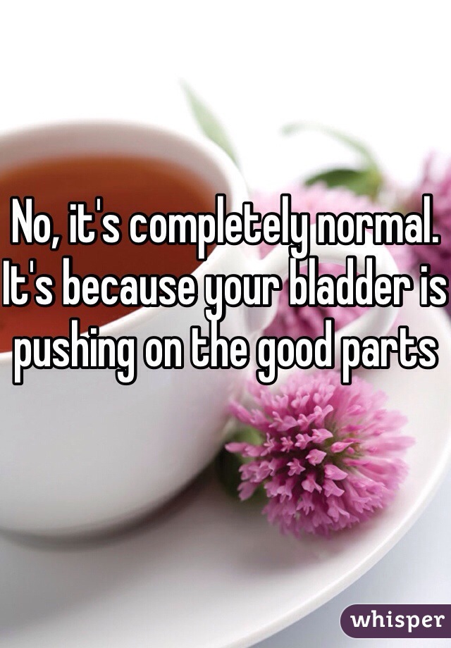 No, it's completely normal. 
It's because your bladder is pushing on the good parts