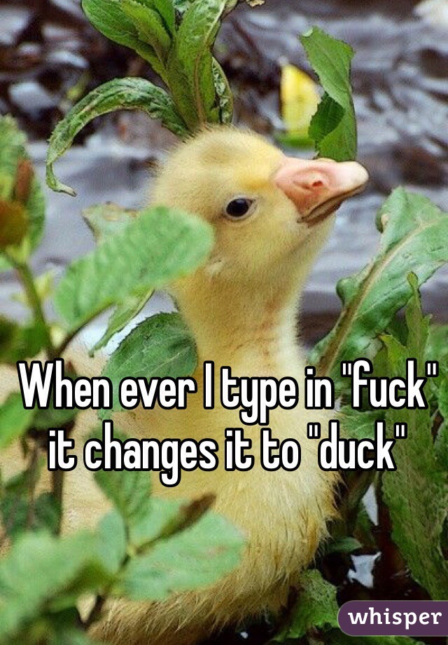 When ever I type in "fuck" it changes it to "duck" 