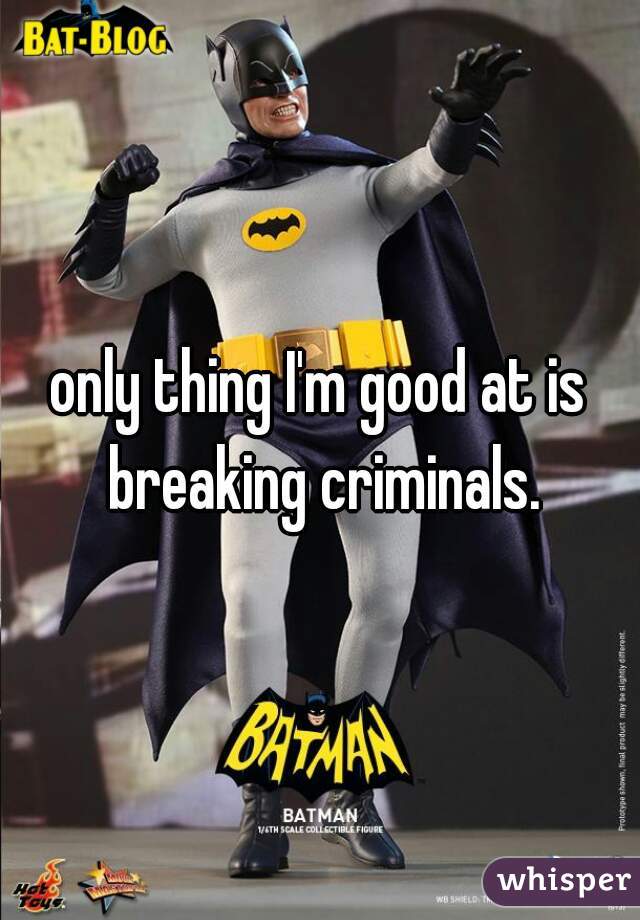only thing I'm good at is breaking criminals.