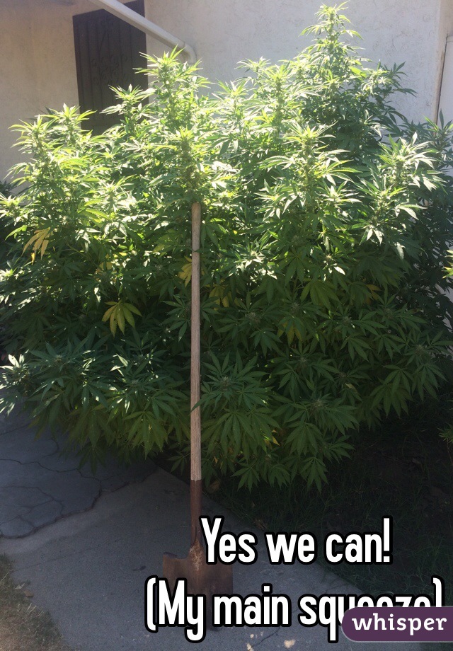 Yes we can!
(My main squeeze)