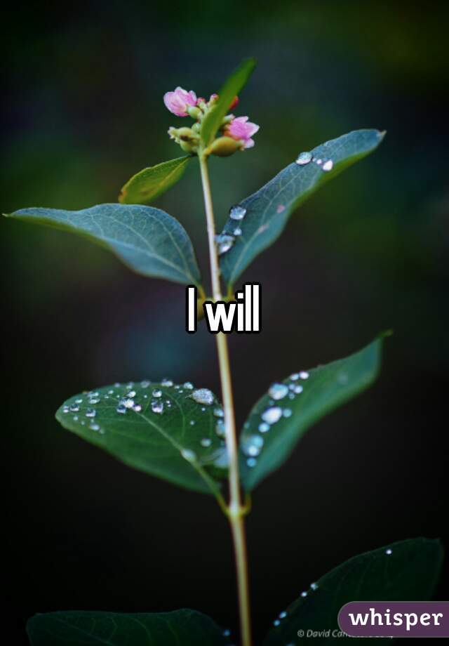 I will