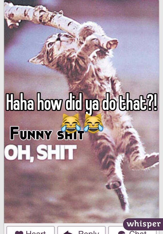 Haha how did ya do that?!😹😹