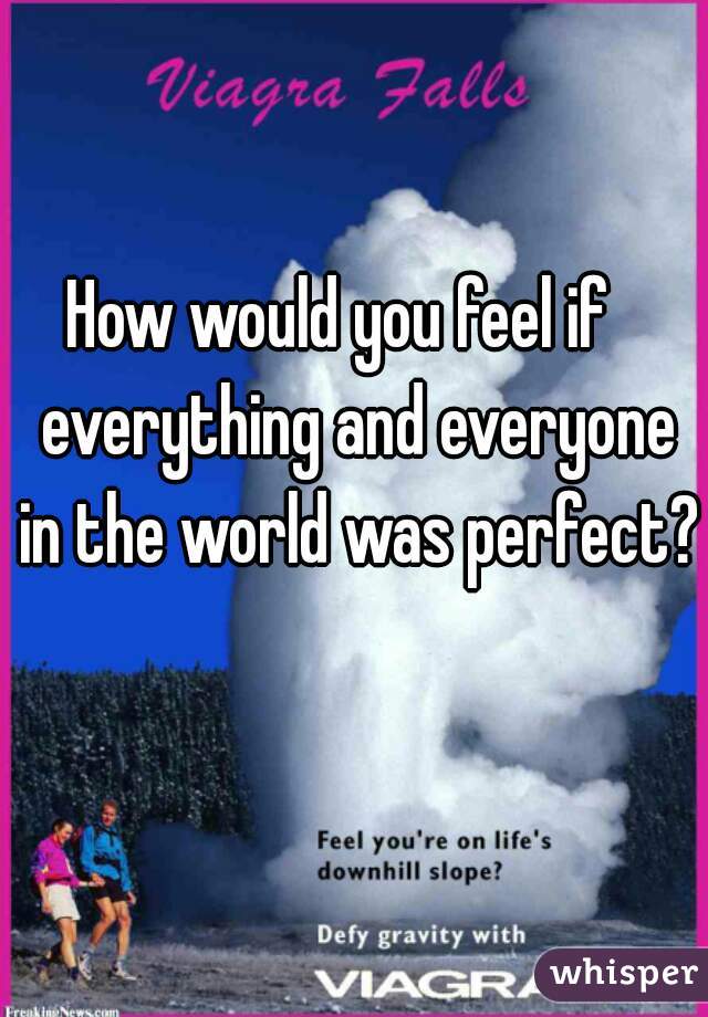 How would you feel if   everything and everyone in the world was perfect?    