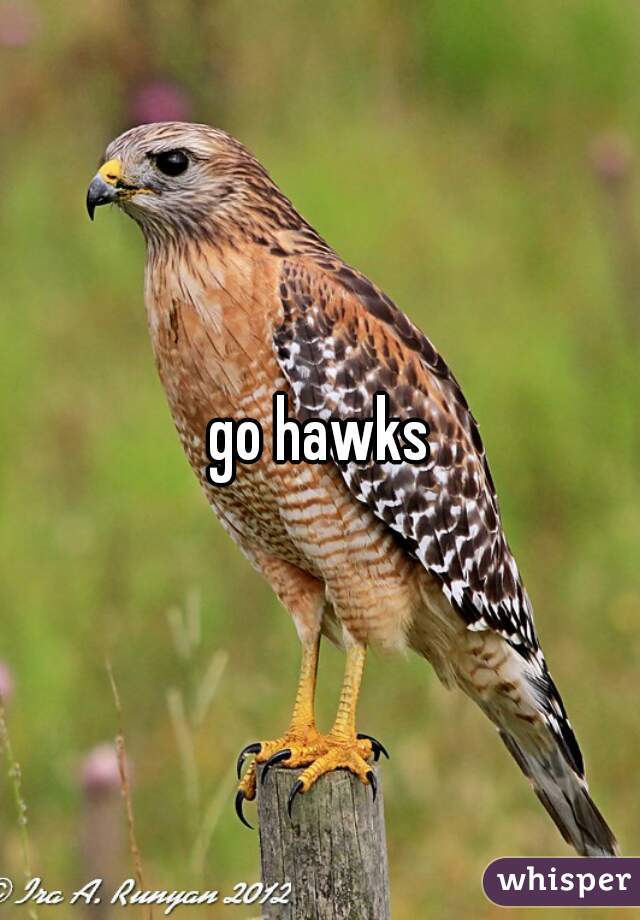 go hawks
