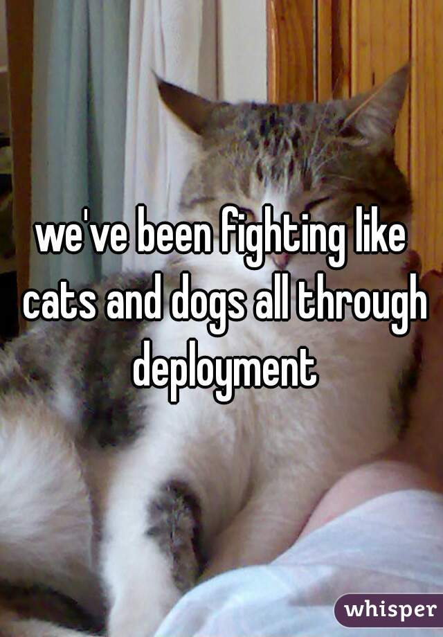 we've been fighting like cats and dogs all through deployment