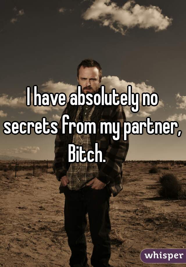 I have absolutely no secrets from my partner,  
 
 
Bitch.   