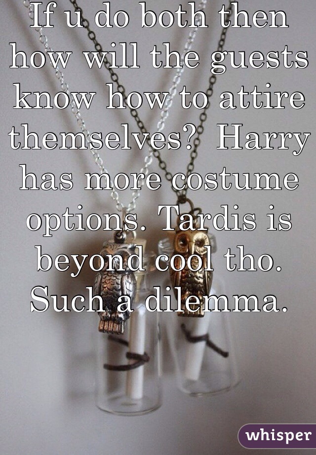 If u do both then how will the guests know how to attire themselves?  Harry has more costume options. Tardis is beyond cool tho. Such a dilemma. 