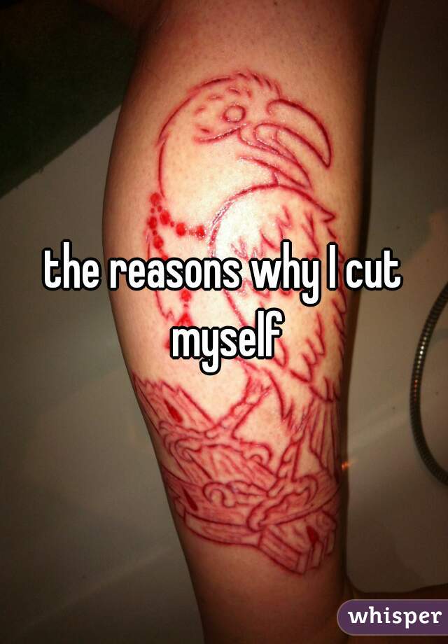 the reasons why I cut myself
 