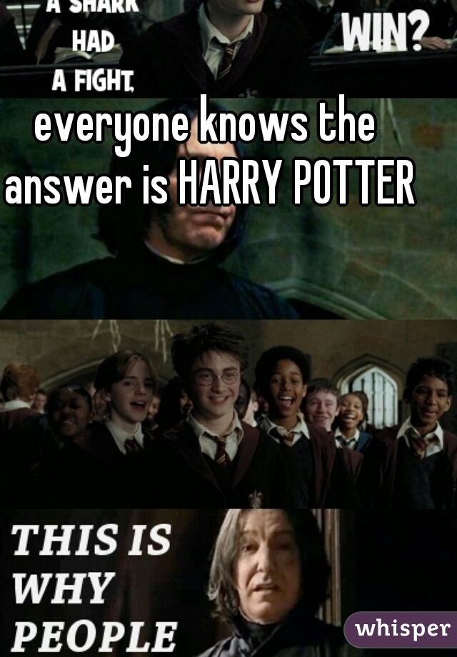 everyone knows the answer is HARRY POTTER