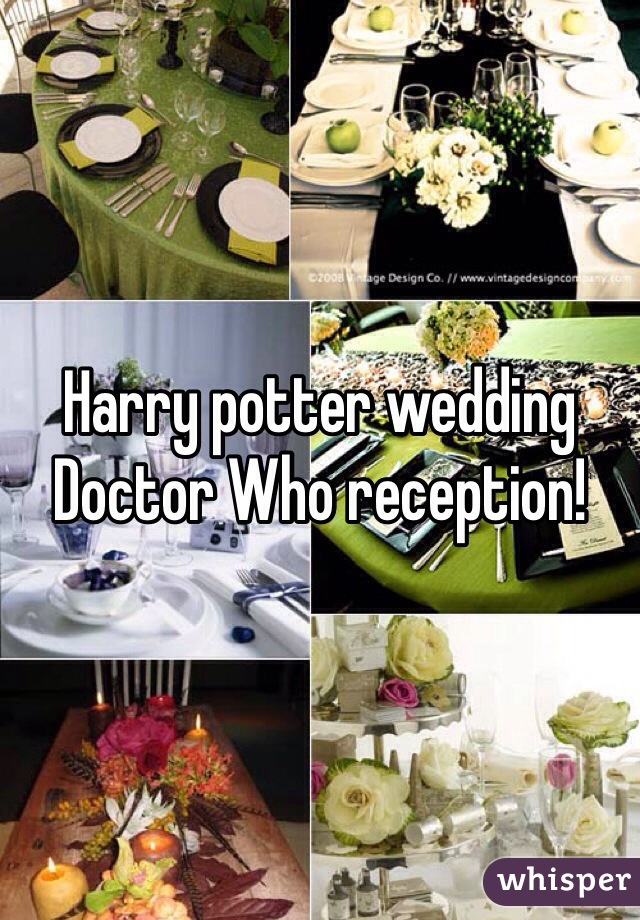 Harry potter wedding Doctor Who reception!