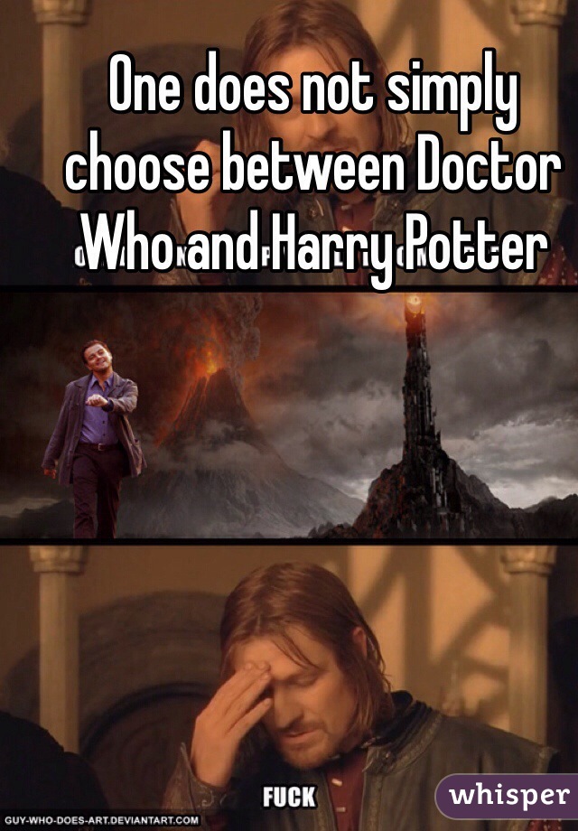 One does not simply choose between Doctor Who and Harry Potter