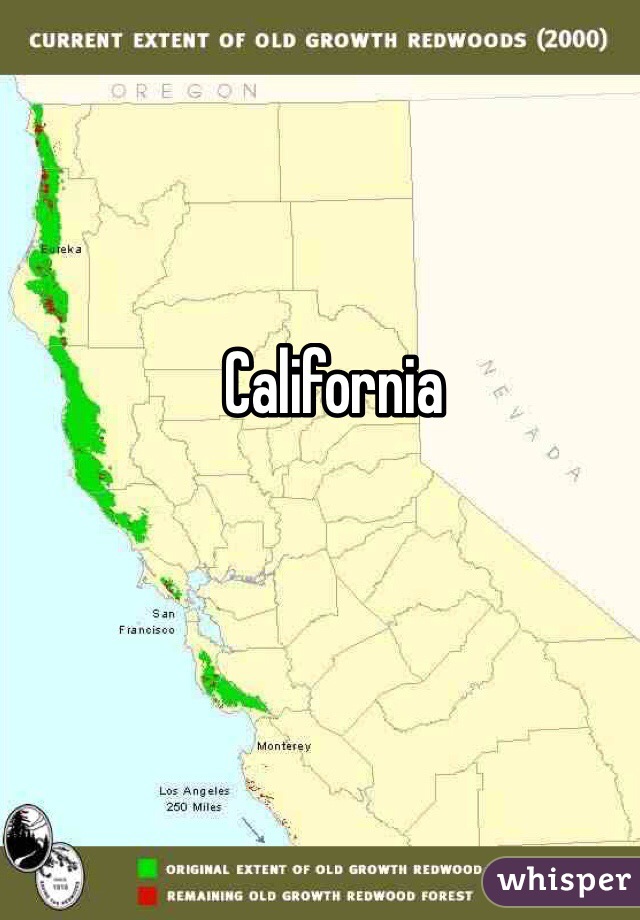 California 
