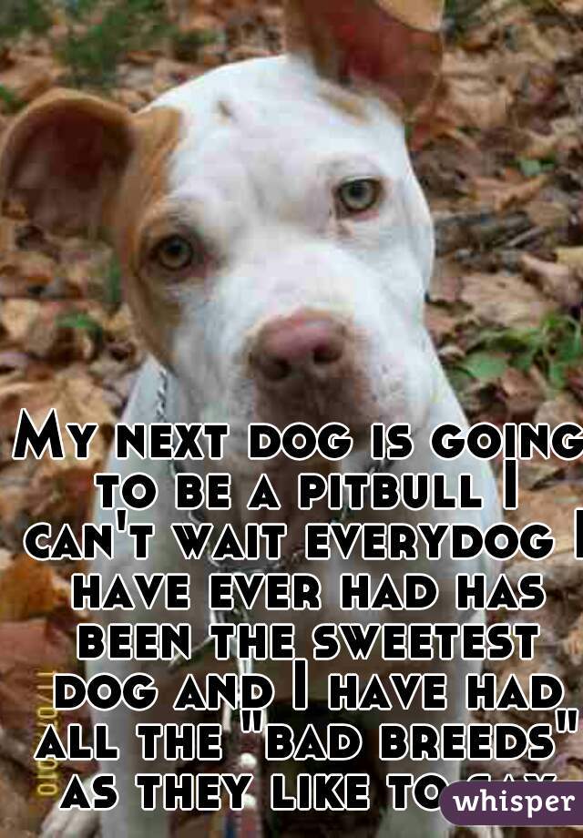 My next dog is going to be a pitbull I can't wait everydog I have ever had has been the sweetest dog and I have had all the "bad breeds" as they like to say