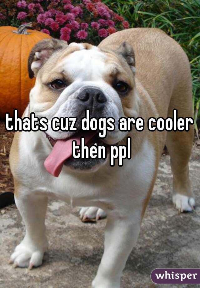 thats cuz dogs are cooler then ppl