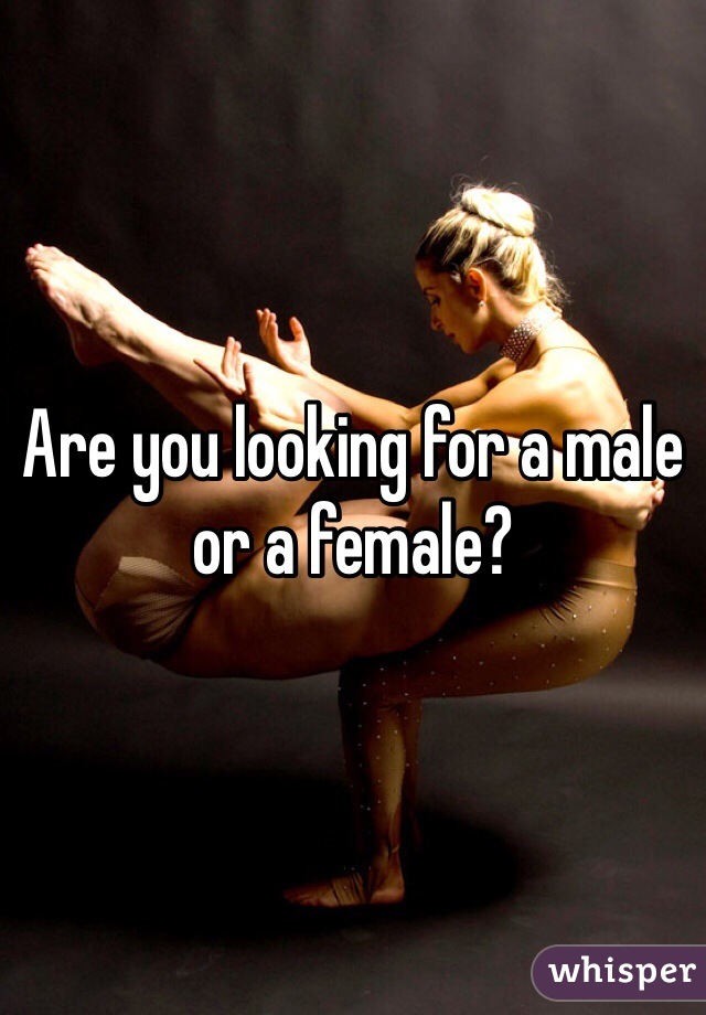 Are you looking for a male or a female?