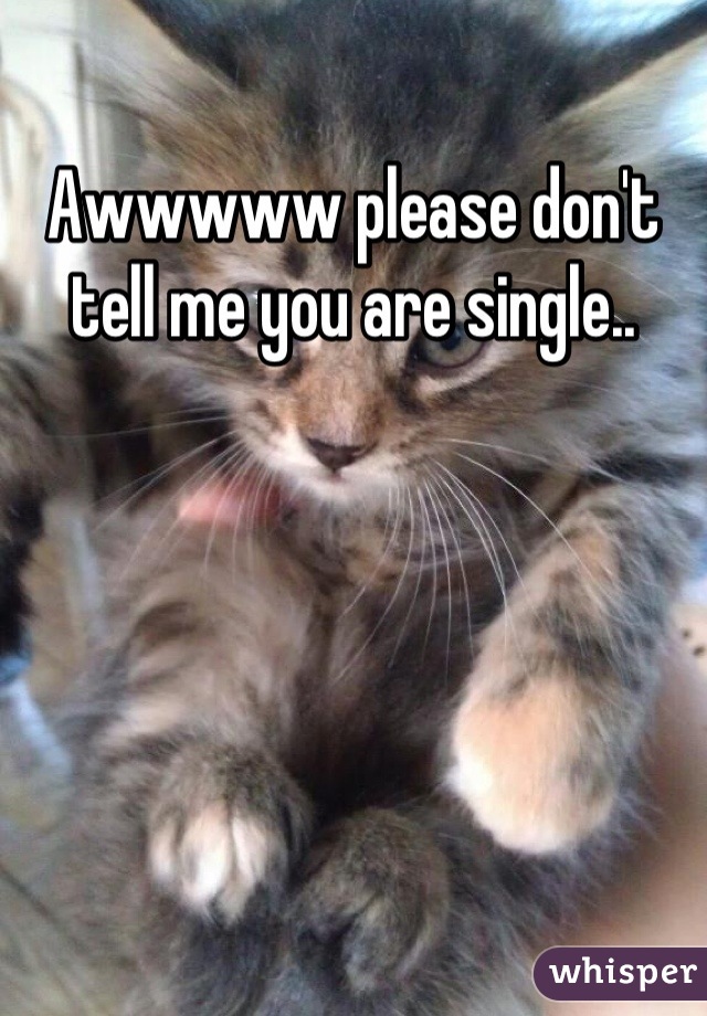 Awwwww please don't tell me you are single..