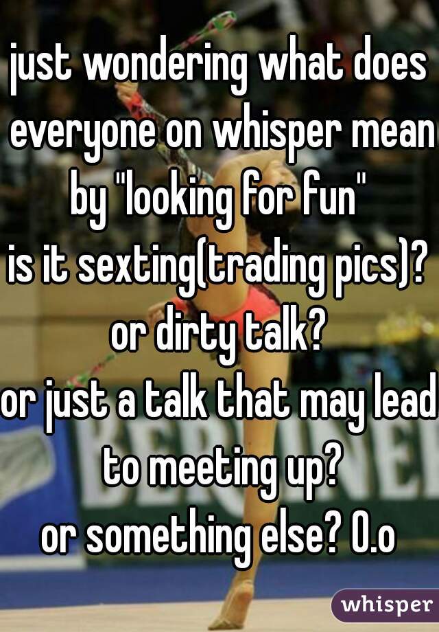 just wondering what does everyone on whisper mean by "looking for fun" 
is it sexting(trading pics)?
or dirty talk?
or just a talk that may lead to meeting up?
or something else? O.o