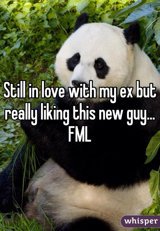 Still in love with my ex but really liking this new guy... FML