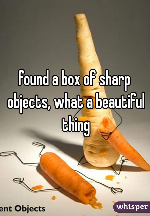 found a box of sharp objects, what a beautiful thing