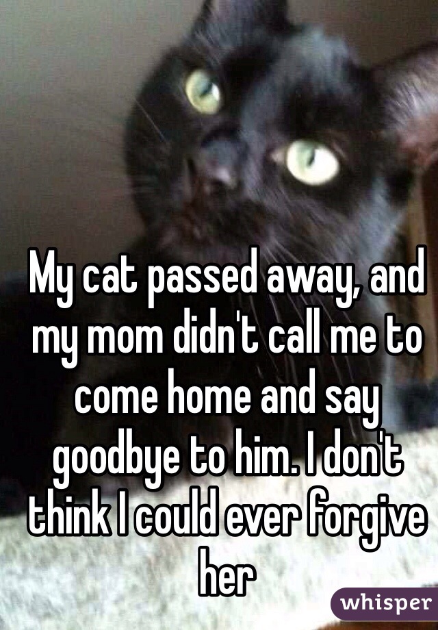 My cat passed away, and my mom didn't call me to come home and say goodbye to him. I don't think I could ever forgive her 