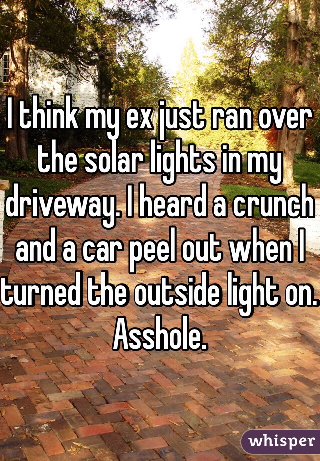 I think my ex just ran over the solar lights in my driveway. I heard a crunch and a car peel out when I turned the outside light on. Asshole. 