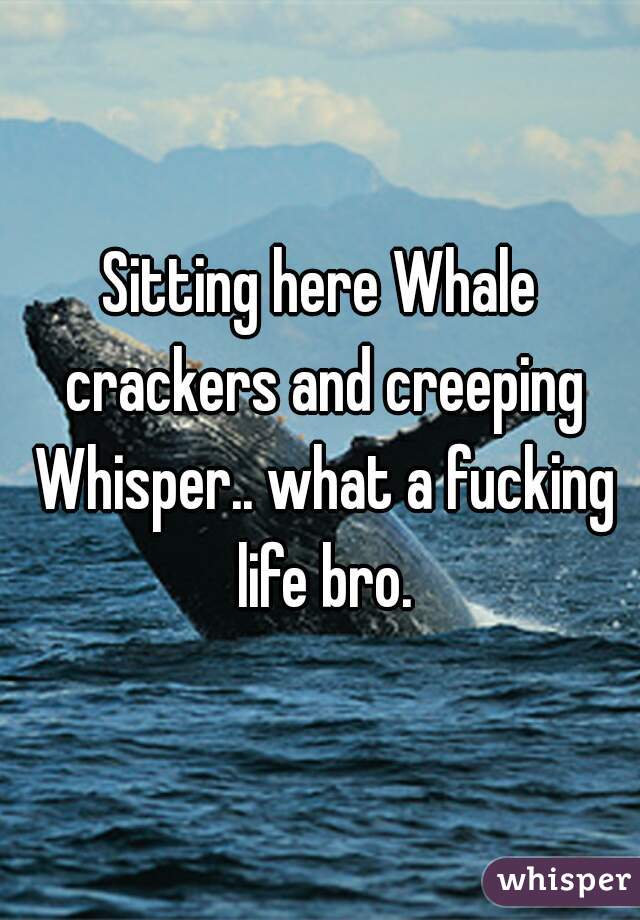 Sitting here Whale crackers and creeping Whisper.. what a fucking life bro.